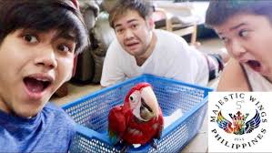 PARROT PRICE LIST!!! (Daily routine w birds) HOW TO TRAIN YOUR BIRDS FOR  FREE FLIGHT!