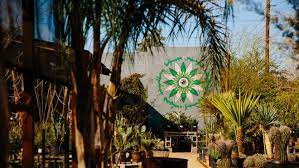 Check spelling or type a new query. Earth Day 2021 Here Are Tips For Starting A Home Garden In Arizona