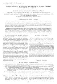 Image result for Tripogon minimus