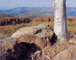 Mír a uklidnění v kopcích a lesích chřibů a bílých karpat. Priroda Kyjovske Slovacko V Pohybu