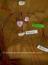 It's important to provide activities for students to create new items using shapes. Preschool Science Activities The Human Body