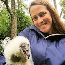 May Program:“Vultures: The Private Life of an Unloved Bird” with Katie  Fallon, Executive Director at the Avian Conservation Center of Appalachia —  T. Gilbert Pearson Audubon Society
