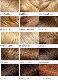 Like ash blonde and platinum blonde… they're both a cooler tone of. Information About Shades Of Blonde Hair Dye At Dfemale Com Beauty And Styles Blog For Women Honey Hair Color Blonde Hair Shades Hair Styles