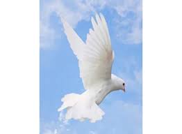 Cindy Lou Keat Obituary (2024)