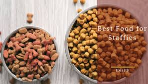 best dog food for staffies top dog