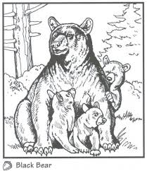 Backyard Animals And Nature Coloring Books Free Coloring Pages Bear Coloring Pages Animal Coloring Books Coloring Books