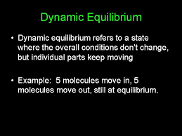 Student exploration equilibrium and concentration answer key. What Is Meant By Dynamic Equilibrium In Osmosis