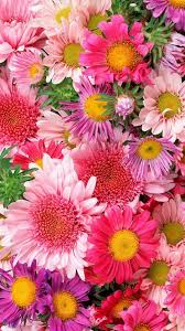 Customize your desktop, mobile phone and tablet with our wide variety of cool and interesting flower wallpapers in just a few clicks! Android Mobile Colorful Flowers Wallpapers Wallpaper Cave