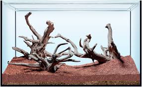 Finnex fugeray planted+ aquarium led light plus moonlights tannin stained dark water is not easy for light to penetrate the water column. Sera Hardscape Rio Negro Sera