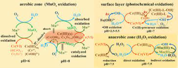 The anions are also coordinated to six cations, but they occupy trigonal prismatic sites. A Review Of The Formation Of Cr Vi Via Cr Iii Oxidation In Soils And Groundwater Sciencedirect