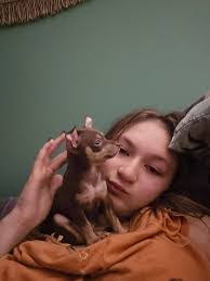 Lacey Mckenzie's Instagram, Twitter & Facebook