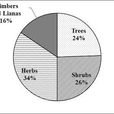 Image result for Nervilia bicarinata