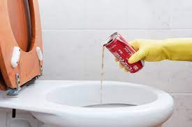 10 Weird Toilet Cleaning Tips And Fixes