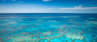 Diving the great barrier reef logistics. The Future Of The Great Barrier Reef Depends On Us