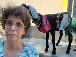 Reel by Deb Snyder (@thedebsnyder) · July 11, 2025