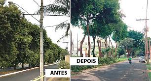 Prefeitura De Uberlandia Mg E Investigada Por Servico De Cidades