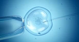 Starting A Family The Different Types Of Ivf