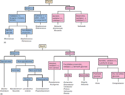 Starting With Figure 17 5 And Using Data From Case Stud