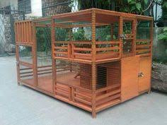 Cara merawat pleci ombyokan 3 hari. Desain Rumah Kucing Dari Kayu Home Desaign Cute766