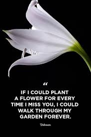 Even flowers and roses like a bit of gossip. 30 I Miss You Quotes Missing You Quotes