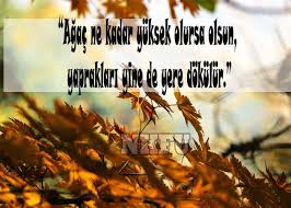 Cin Atasozleri Resimli Atasozleri Guzel Soz Alinti Sozler