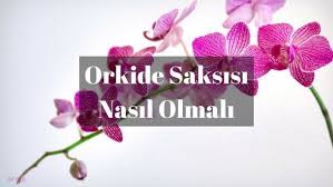 Orkide Saksisi Nasil Olmali Orkide Icin Saksi Secimi Nasil Olmali Orkide Saksisi Ve Cesitleri Orkideler Cicek Saksisi Cicek