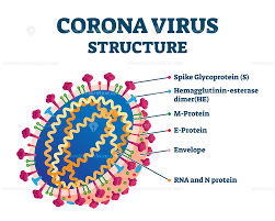 Pin On Health Disease