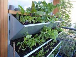 Europalette vertikaler garten vertikaler garten diy kräutergarten anlegen grüne dekoration permakultur selber machen anleitungen blühende pflanzen gartendesign ideen einfache diy Vertikalbeet Freude Und Ertrag Durch Vertikales Gartnern Bio Balkon