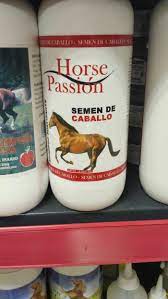 Horse Sperm