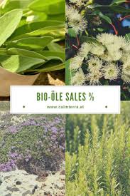 Biozertifizierte Essentielle Atherische Ole Aus Kreta In 2020 Pflanzen Heilpflanzen Bio