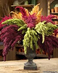 Amaranthus Flowers Large Floral Arrangements Beautiful Flower Arrangements