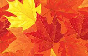 Check spelling or type a new query. Wallpaper Leaves Background Autumn Leaves Autumn Fall Maple Images For Desktop Section Tekstury Download