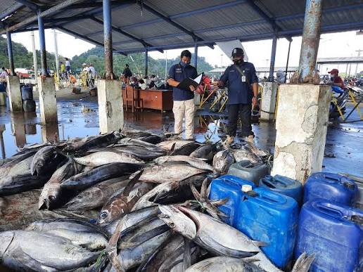 Ekspor Langsung Perikanan Papua Barat Daya Baru 1,2 Persen, Hilirisasi Jadi Prioritas