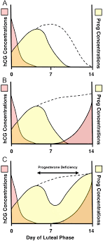 The Inadequate Corpus Luteum In Reproduction And Fertility Volume 2 Issue 1 2021