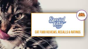 Special Kitty Cat Kitten Food Coupons Review Recalls 2019
