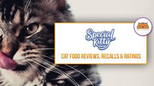 special kitty cat kitten food coupons review recalls 2019