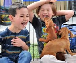 Houston petting zoo has been owned and operated by wild things zoofari since 2010. Animal Birthday Parties For Los Angeles Kids Parties That Come To You Mommypoppins Things To Do In Los Angeles With Kids