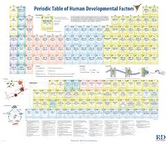 Periodic Table Of Human Developmental Factors R D Systems