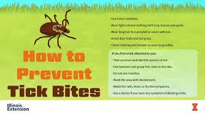 Removing and killing ticks is easy. Small Bug Big Risk Protect Yourself From Ticks This Summer