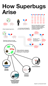Stopping Superbug: New Farm Rule Targets Antibiotic Resistance