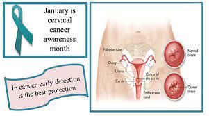 • define what combination of test results after an abnormal permit safe return to routine screening. Kauvery Hospital Patient Newsletters Cervical Cancer Is Preventable
