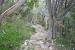 Campground Colorado Bend State Park Camping