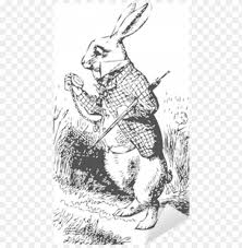 White rabbit pin variant less. White Rabbit With Watch Alice Wonderland Sticker Alice In Wonderland Original White Rabbit Png Image With Transparent Background Toppng