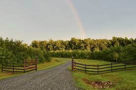 Your neighbors will think that it's made of wood…but they'll never see you paint it. 9 Long Rural Country Driveway Design Ideas Truegrid Pavers