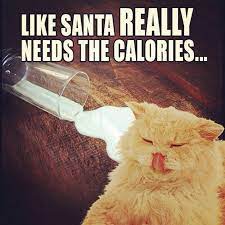 Instagram Photo By The Home Depot Nov 23 2012 At 5 20pm Utc Cats Fur Babies Funny