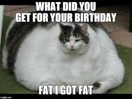Pin On Birthday Memes