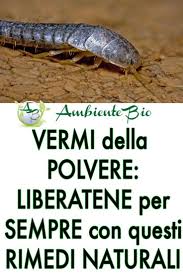 Dopo lo shopping nei negozi a basso costo, che sono anche puliti e mantenuti a buon mercato Pin Su Casa Bio E Arredamento