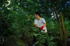 Mālama ʻĀina Volunteer Day