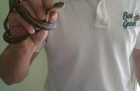 Bee green pest control makes lawn care easy. Bee Green Pest Solutions 5710 Ogeechee Rd Ste 200 Savannah Ga 31405 Yp Com