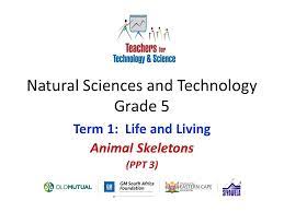 Ca science frameworks draft released. Natural Sciences And Technology Grade 5 Ppt Video Online Download
